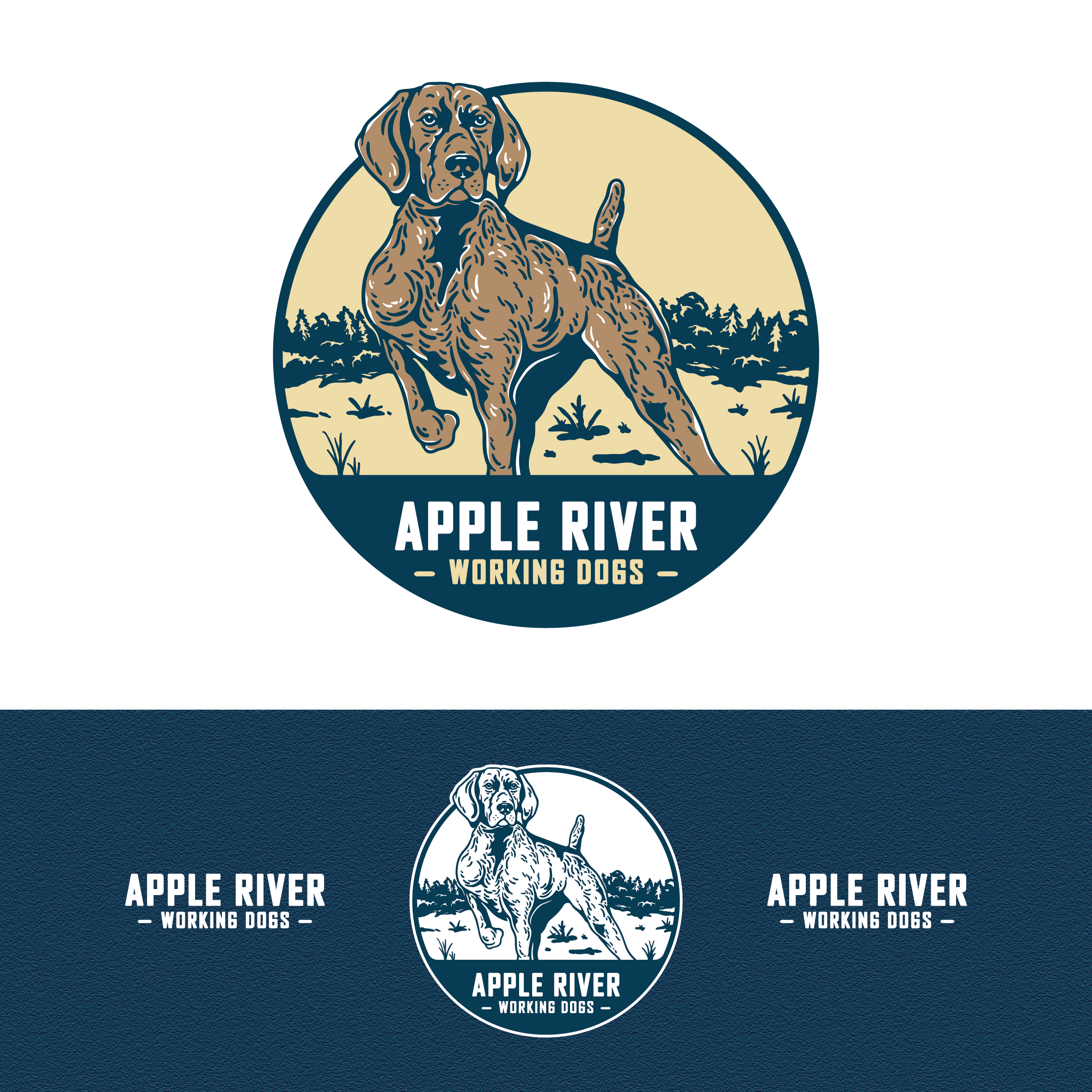Logo Design by tulikur27 for this project | Design #33523177