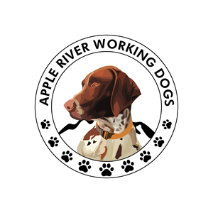 Logo Design by SR Graphics G for this project | Design #33510384