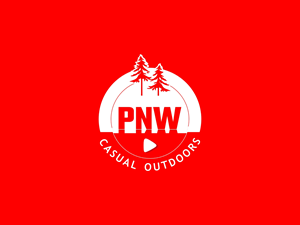Logo Design by Raajsha