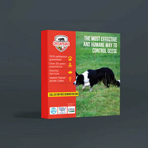 Trade Show Booth Design by Sun Creative for this project | Design: #33474061