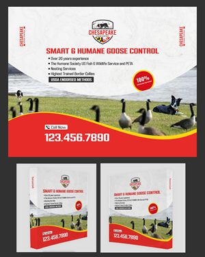 Diseño de Stand de Feria por Adi GFX para este proyecto | Diseño #33479692