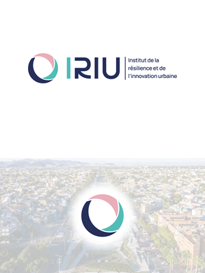 Logo Design by USA CRAFT for IRIU | Design: #33489364