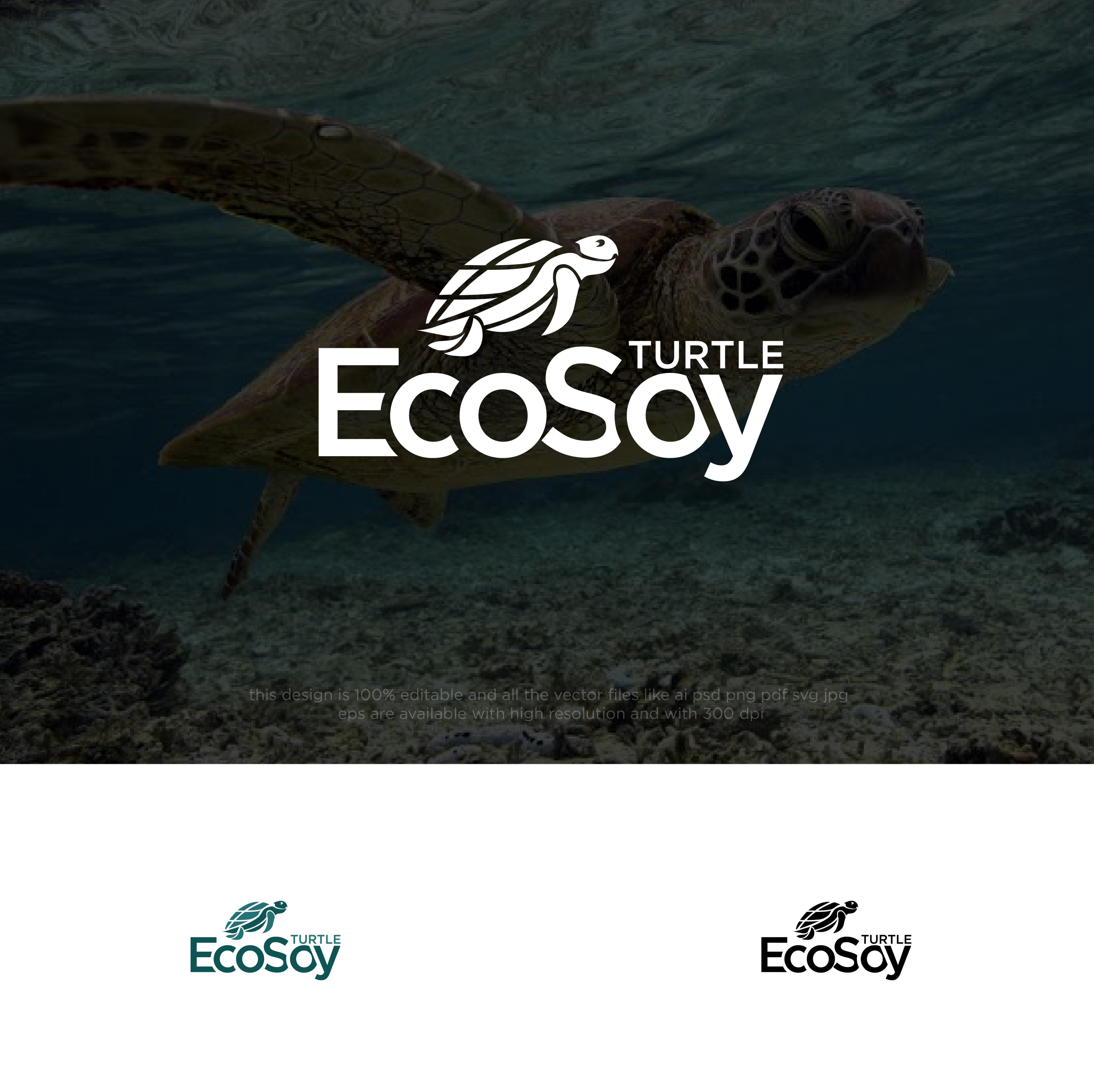 Logo Design by chilliebird studio for this project | Design #33547359