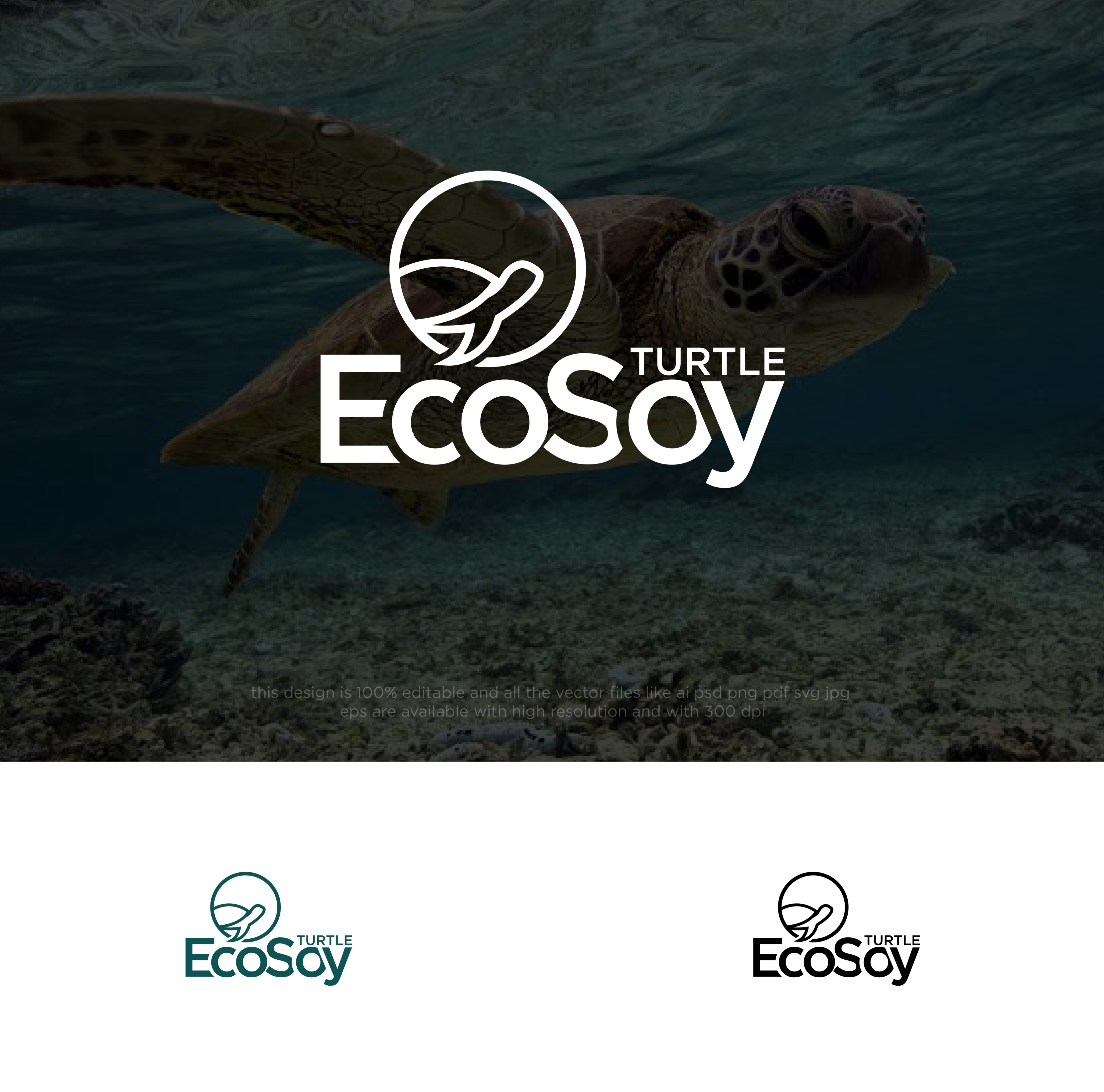 Logo Design by chilliebird studio for this project | Design #33547365