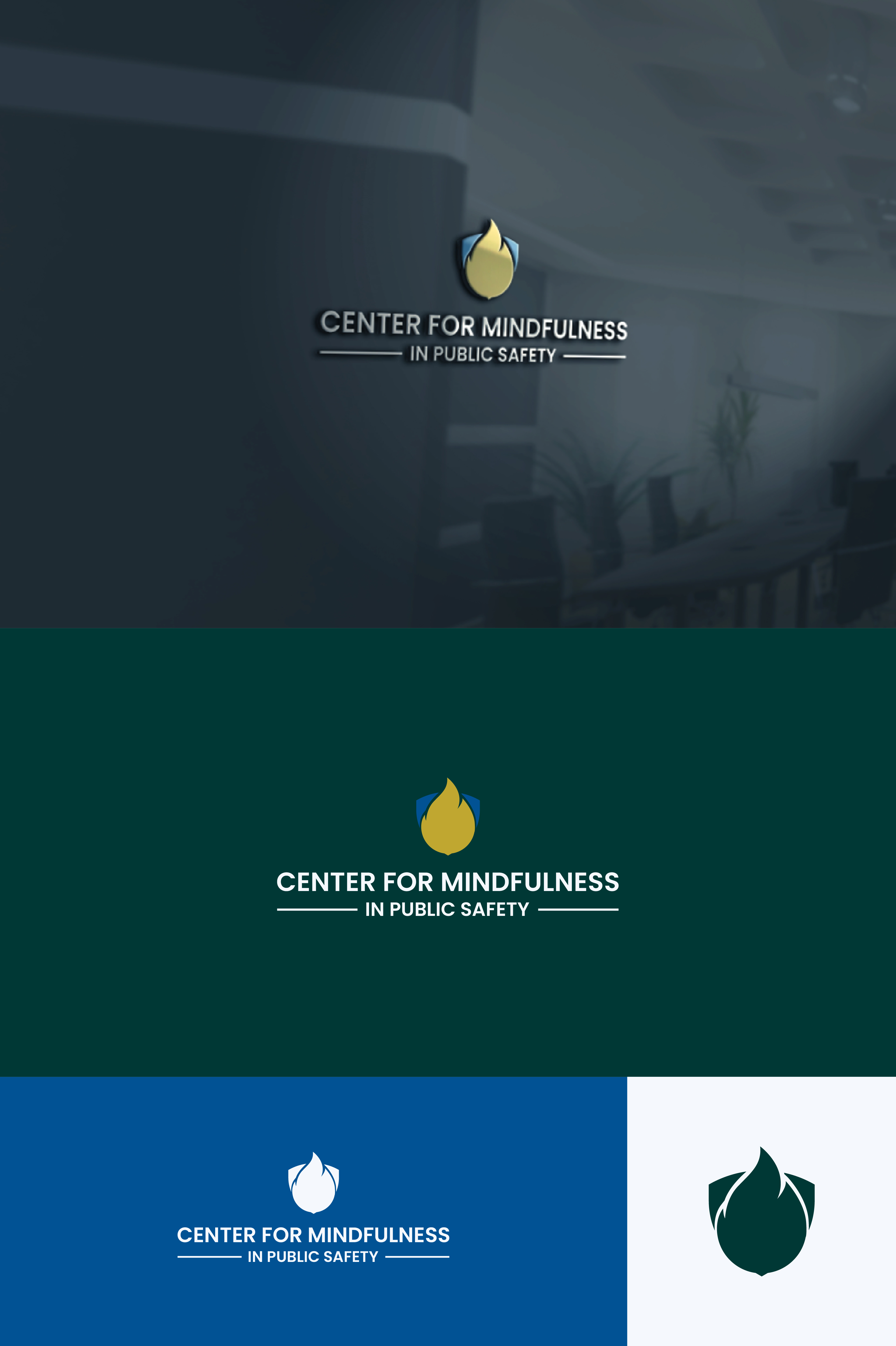 Logo Design by Boril Std for this project | Design #33516387