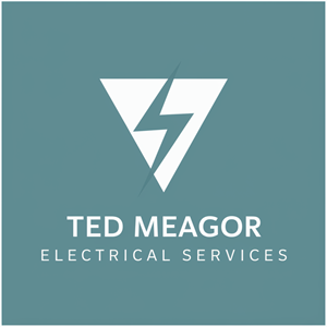 Diseño de Logo por Ar_nisam_usman para Ted Meagor Electrician | Diseño: #33542308