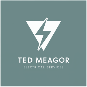 Diseño de Logo por Ar_nisam_usman para Ted Meagor Electrician | Diseño: #33542311
