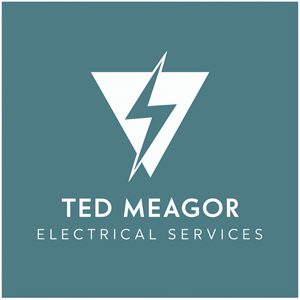 Diseño de Logo por Ar_nisam_usman para Ted Meagor Electrician | Diseño: #33542312