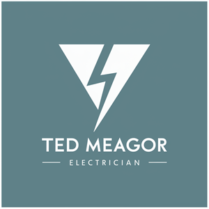 Diseño de Logo por Ar_nisam_usman para Ted Meagor Electrician | Diseño: #33542360