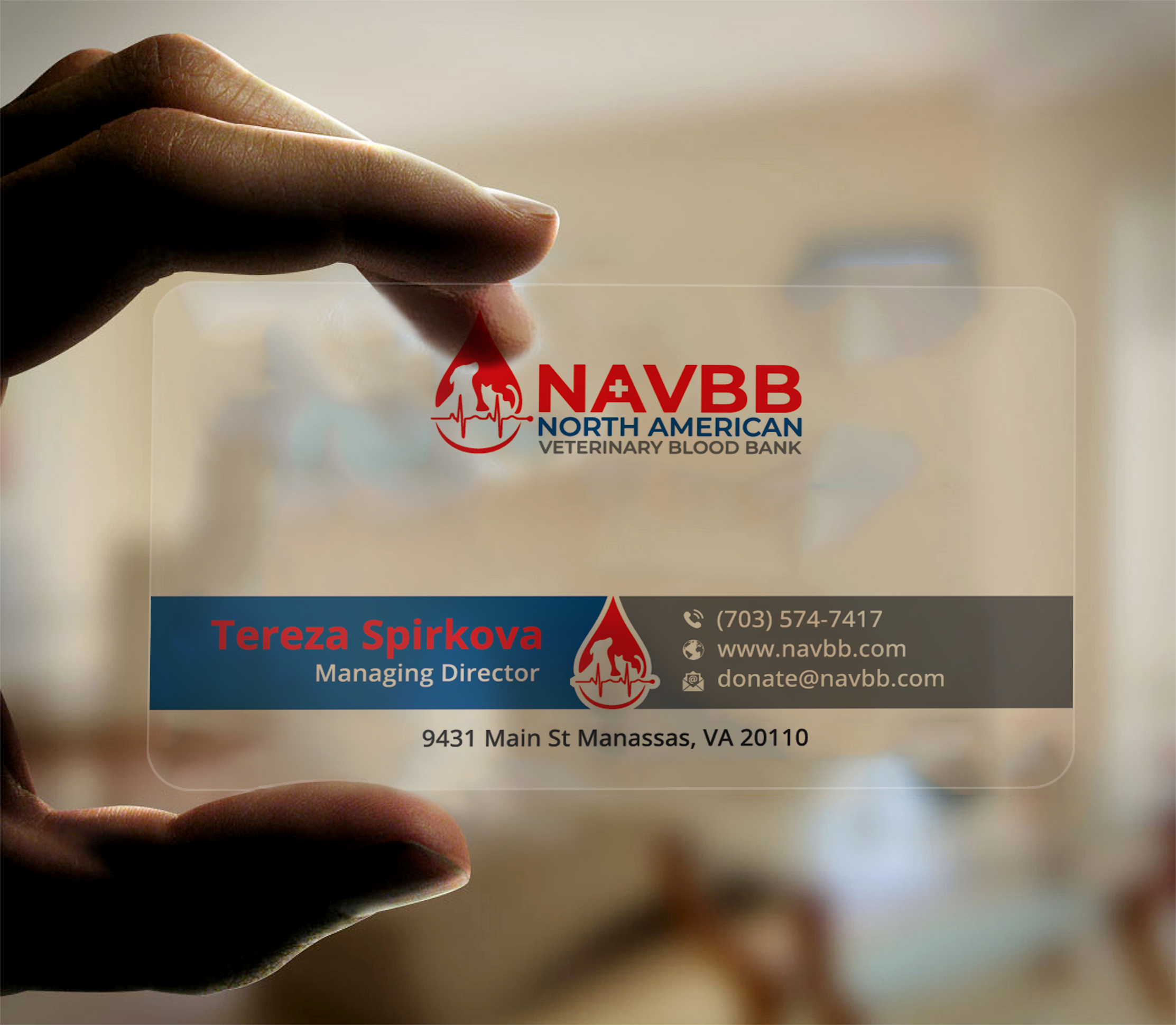 Diseño de Tarjeta de Presentación por DesignerShahadat para este proyecto | Diseño #33507883