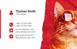 Business Card Design by aktan for this project | Design #33509703