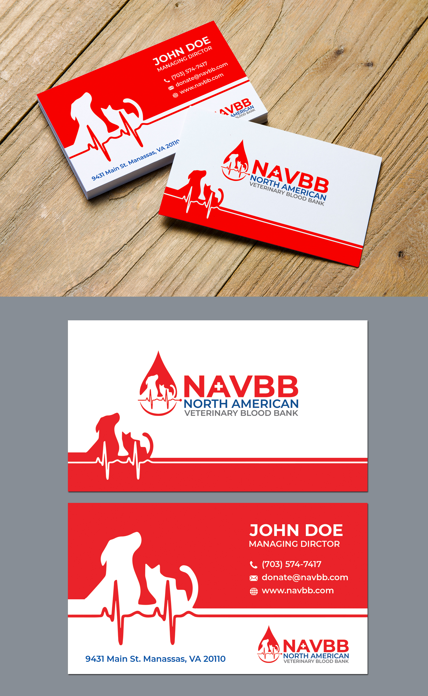 Business Card Design by BLUE WINGS for this project | Design #33509715