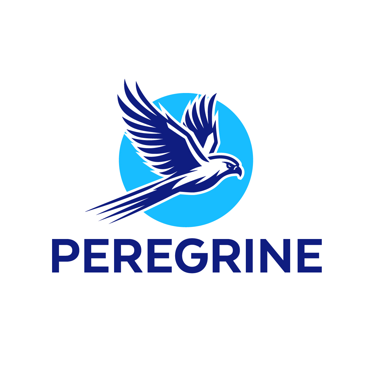 Diseño de Logo por Elrich para este proyecto | Diseño #33498719