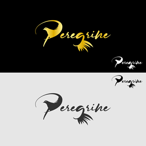 Logo Design by akdesign100
