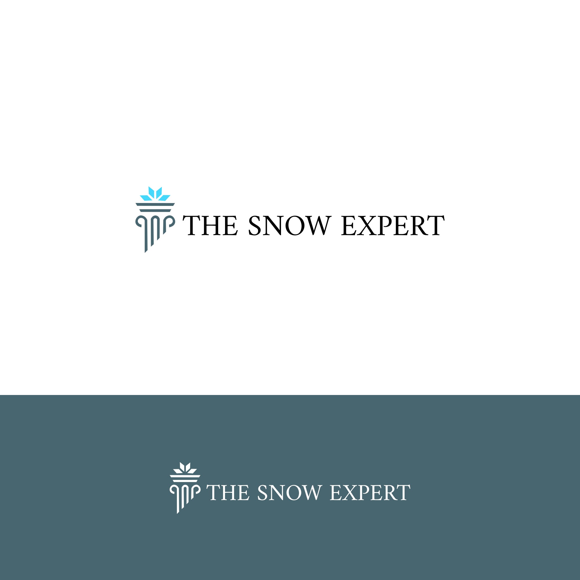 Logo Design by alitjuara for this project | Design #33509810