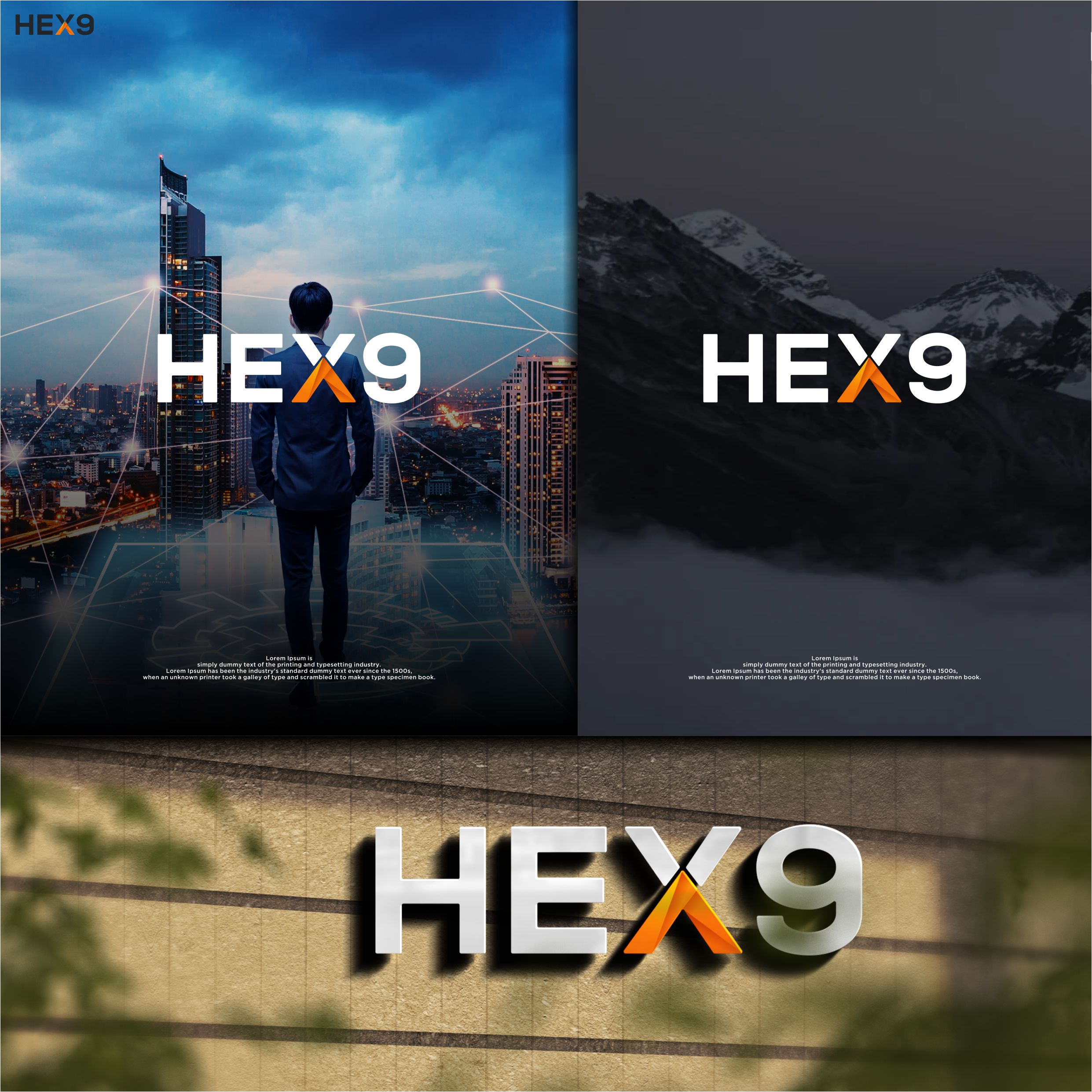 Logo Design by _aice_ for HEX9 | Design #33514588