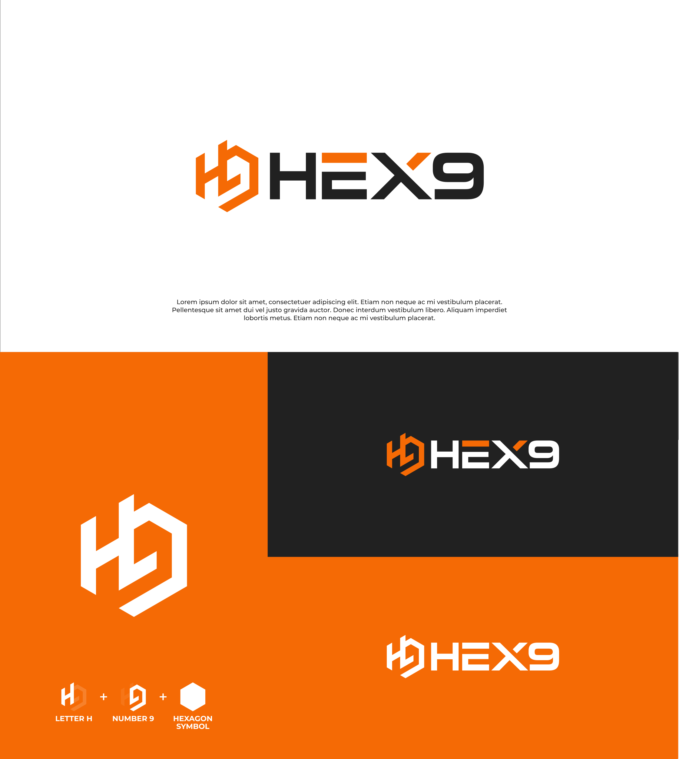 Logo Design by Abu Zaid Design for HEX9 | Design #33506830
