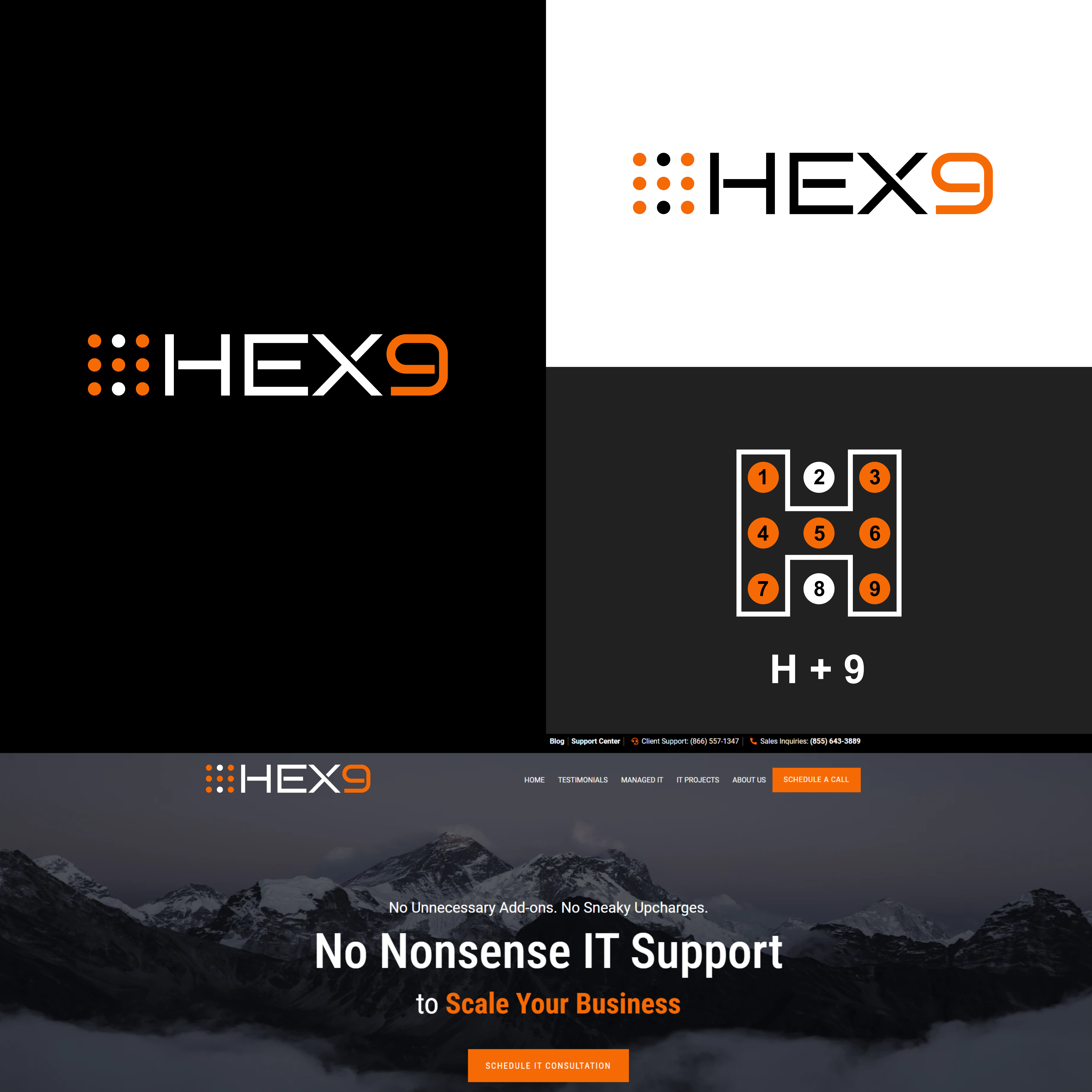 Logo Design by Reza Refianto for HEX9 | Design #33499358