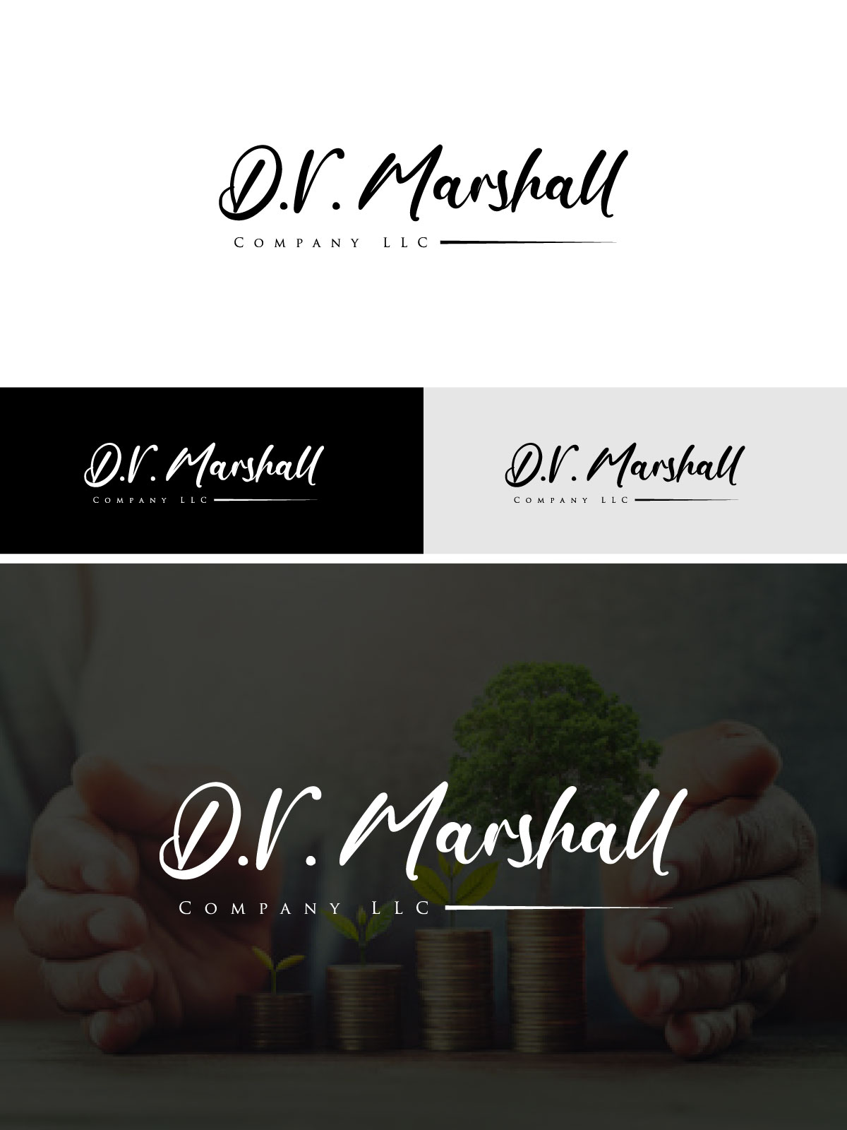 Logo Design by AyaanArt for D.V. Marshall Company LLC | Design #33504831