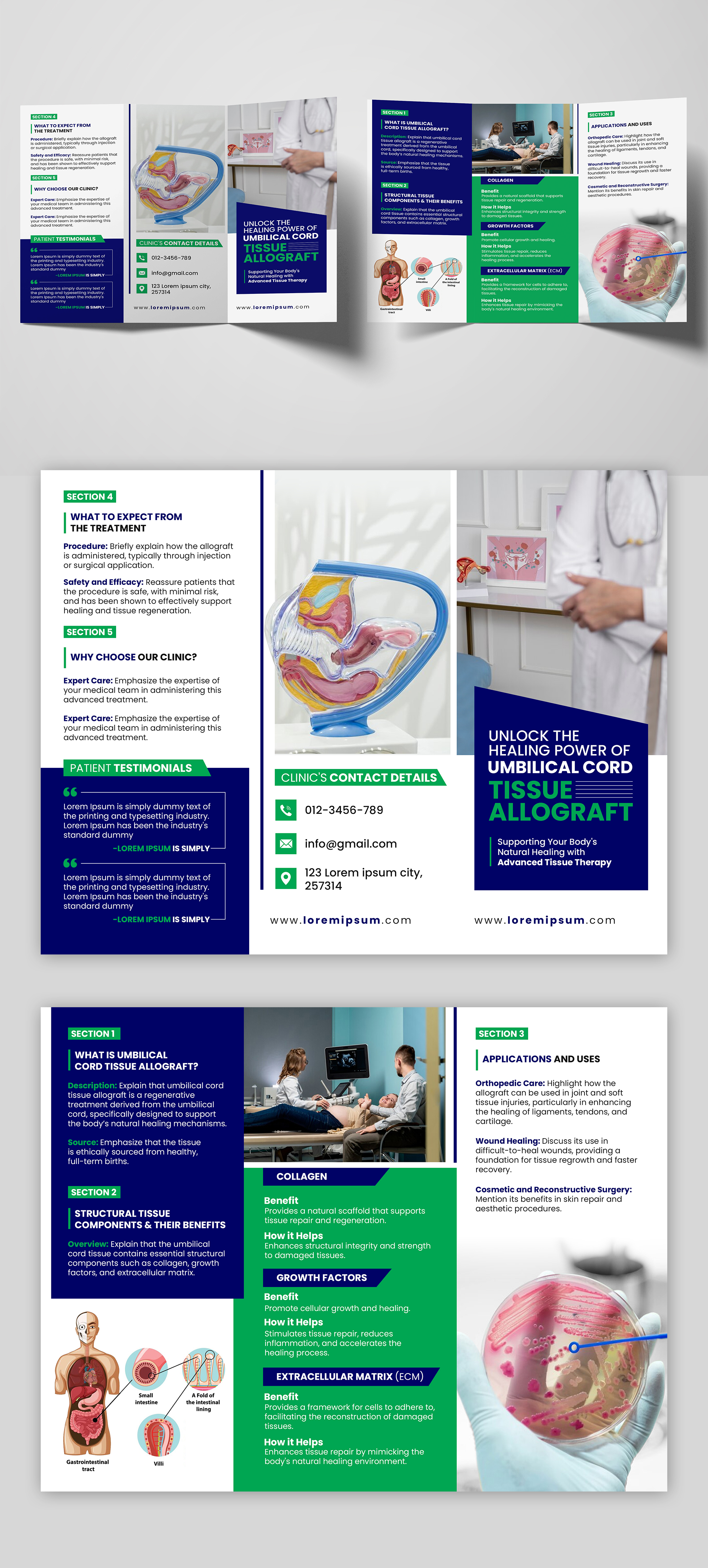 Brochure Design by debdesign for this project | Design #33509498