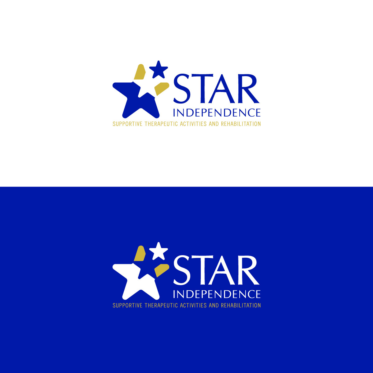 Logo Design by chris Ray for this project | Design #33582756