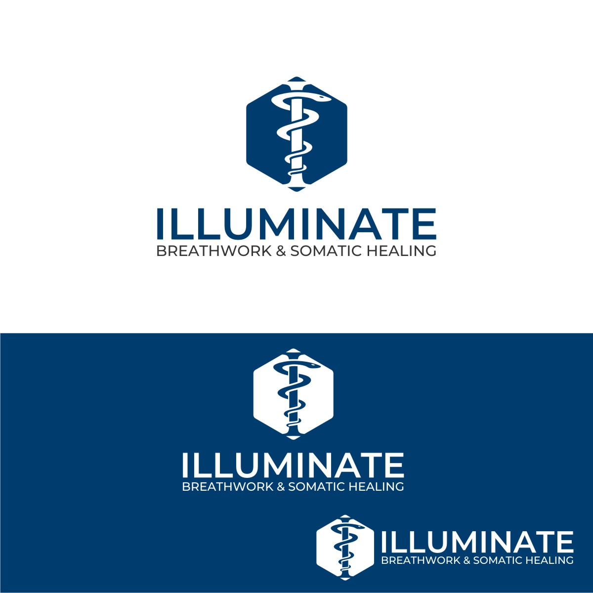 Logo Design by OrianO-70 for this project | Design #33551285