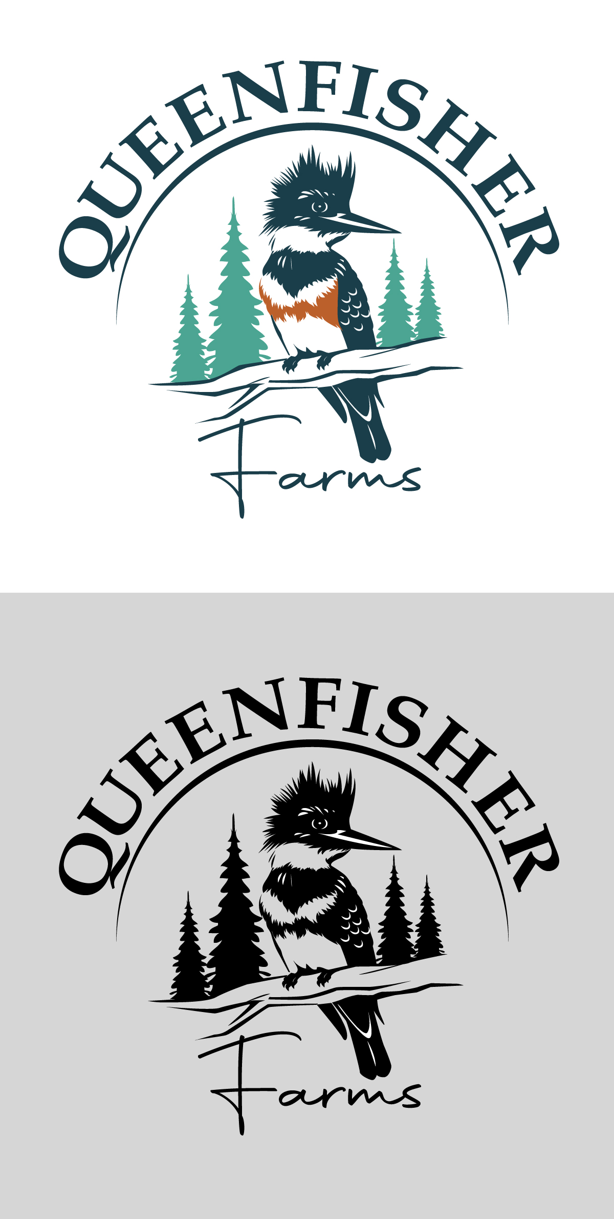 Contest winning design