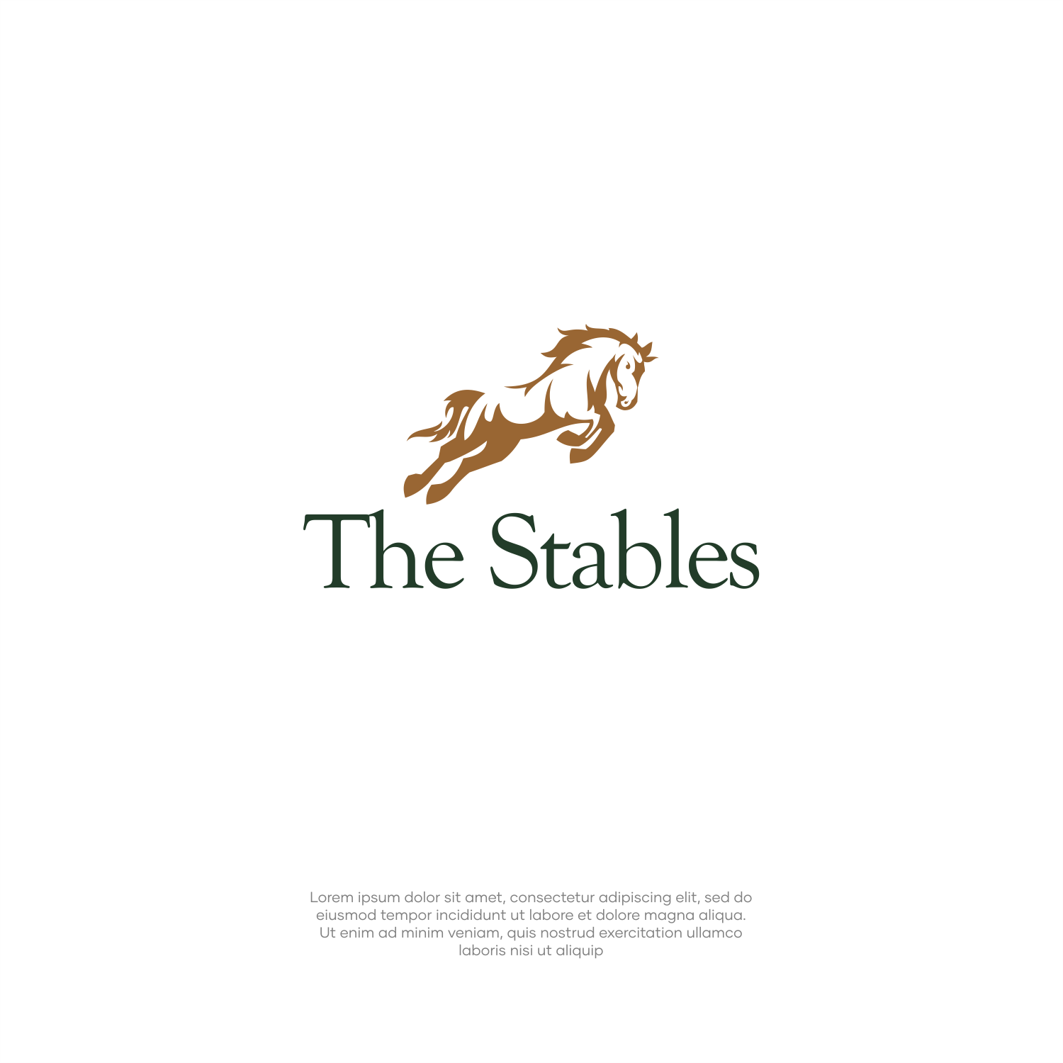Logo Design by ThiagoB for this project | Design #33573279