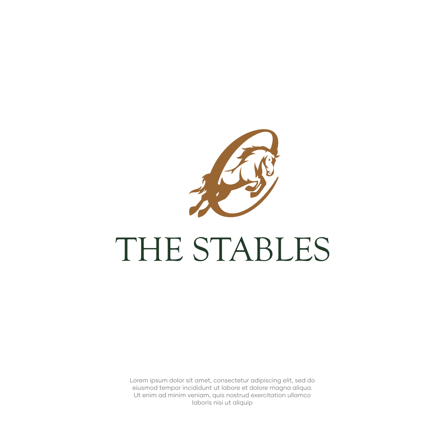 Logo Design by ThiagoB for this project | Design #33573283