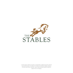 Logo Design by ThiagoB for this project | Design: #33573287