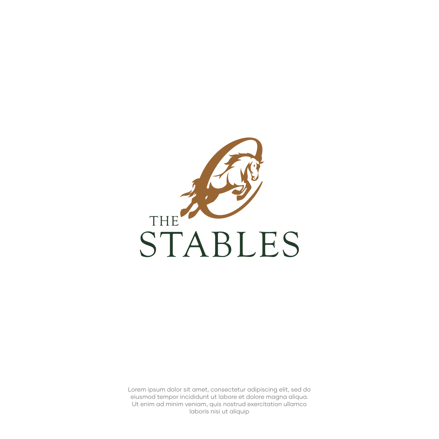 Logo Design by ThiagoB for this project | Design #33573288