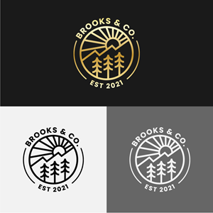 Logo Design by AHNAF_S for Brooks & Co. | Design: #33540957