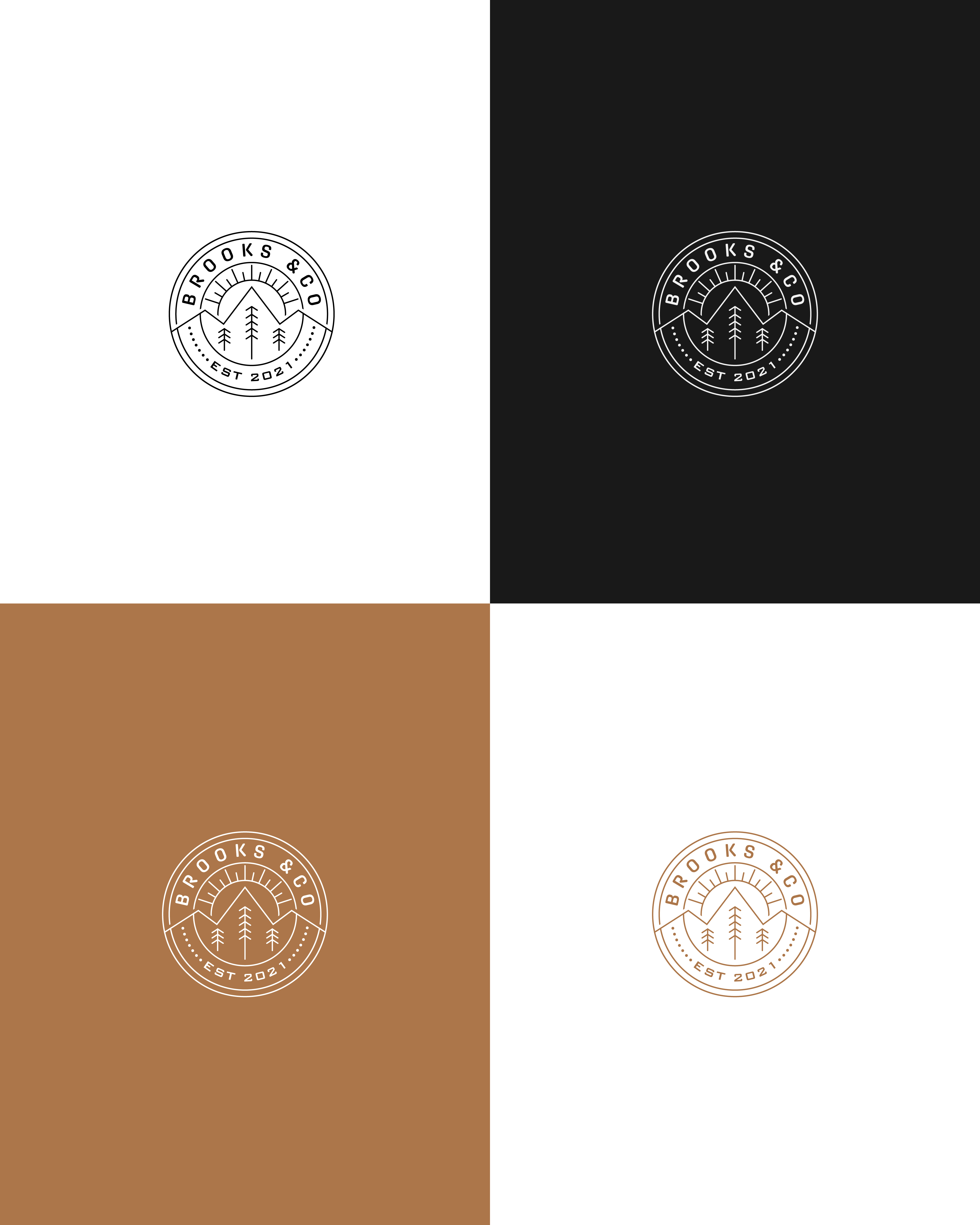 Design de Logo par TDAC pour Brooks & Co. | Design #33541899