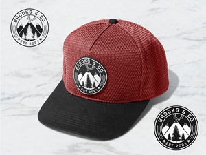 Design de Logo par Lanka Ama pour Brooks & Co. | Design #33545036