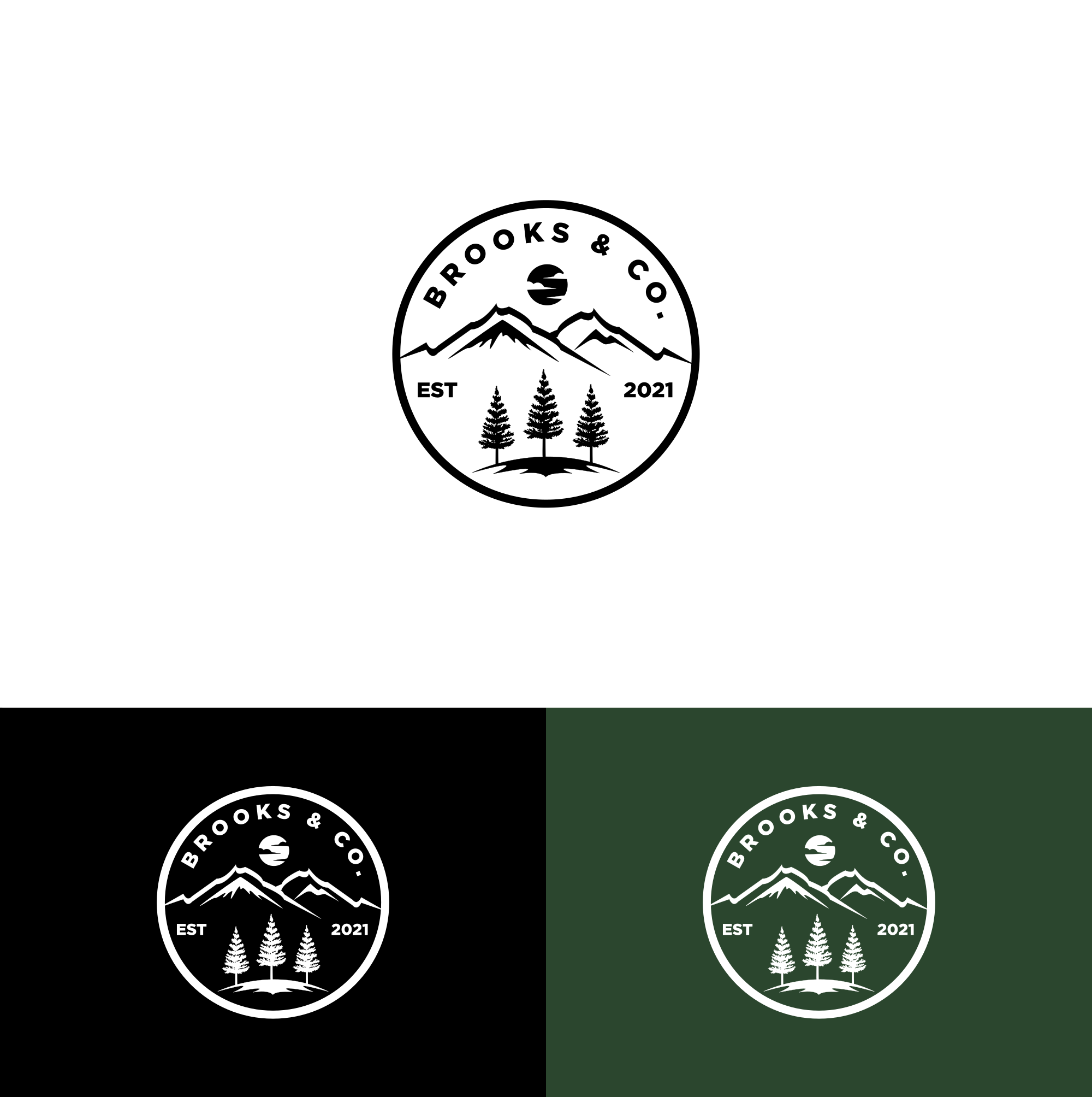 Design de Logo par alitjuara pour Brooks & Co. | Design #33552161