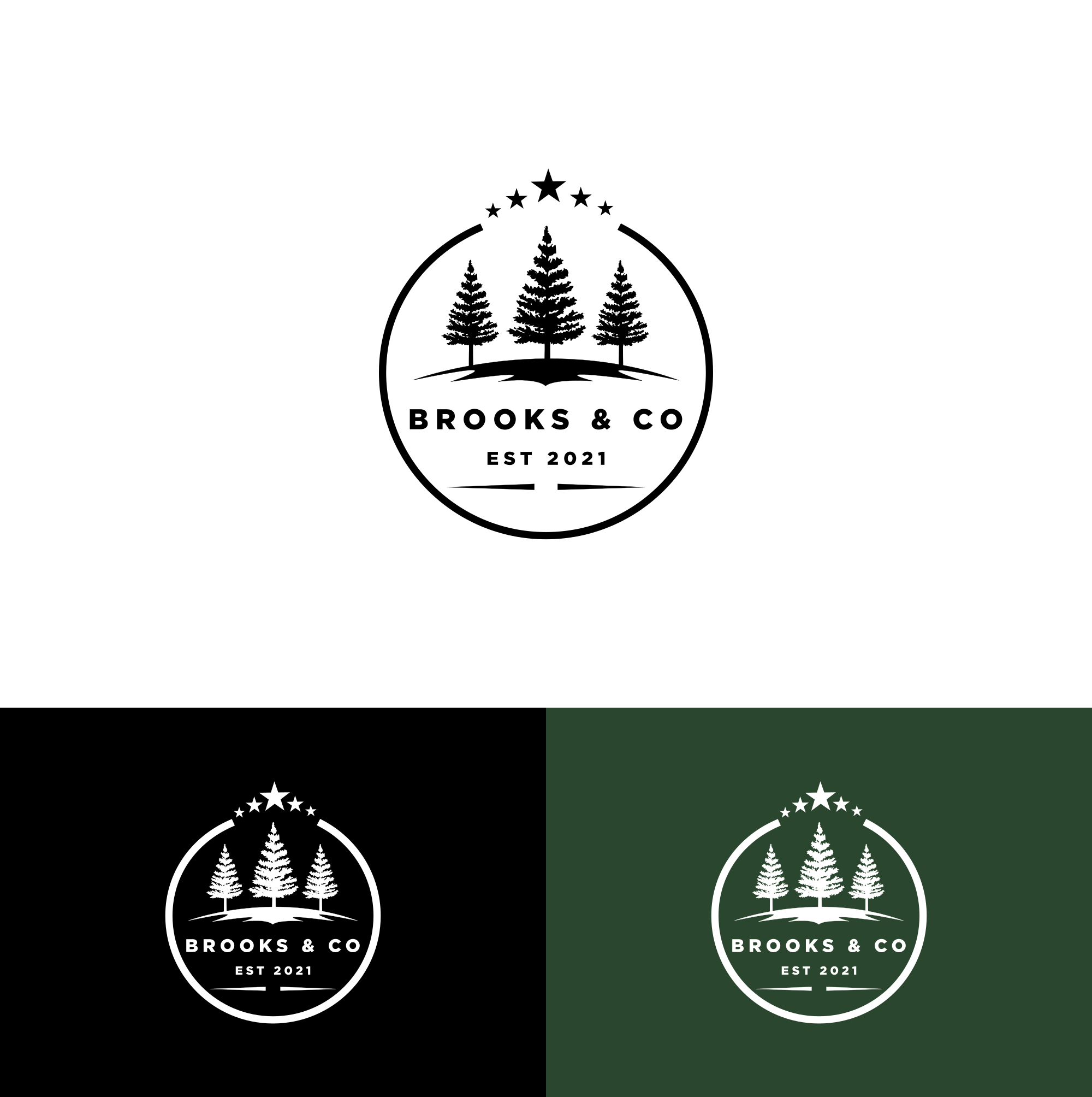 Design de Logo par alitjuara pour Brooks & Co. | Design #33552162