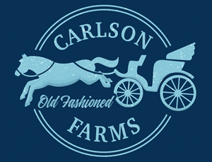 Logo Design by Morgan 3