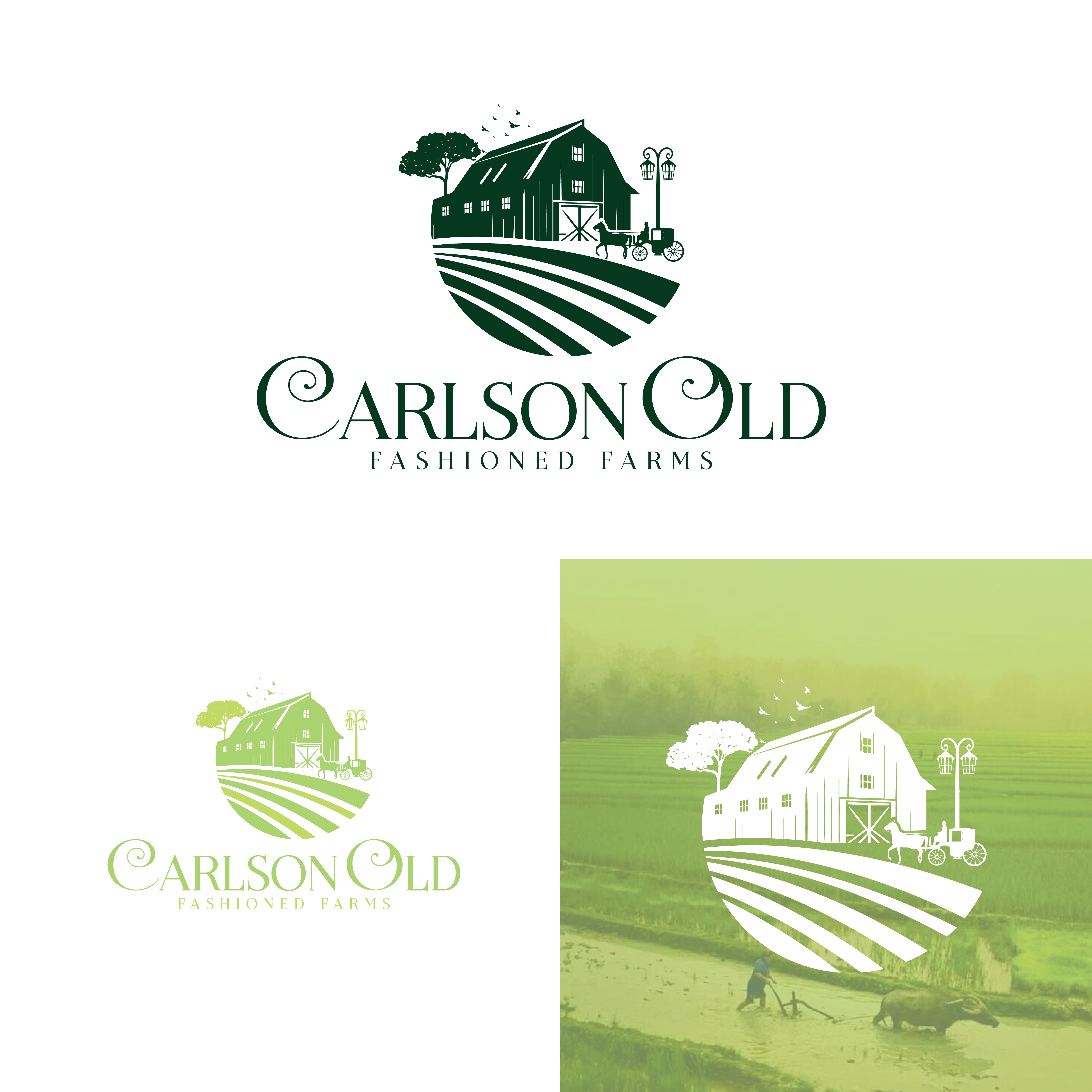 Diseño de Logo por Maxo-Biz para este proyecto | Diseño #33552062