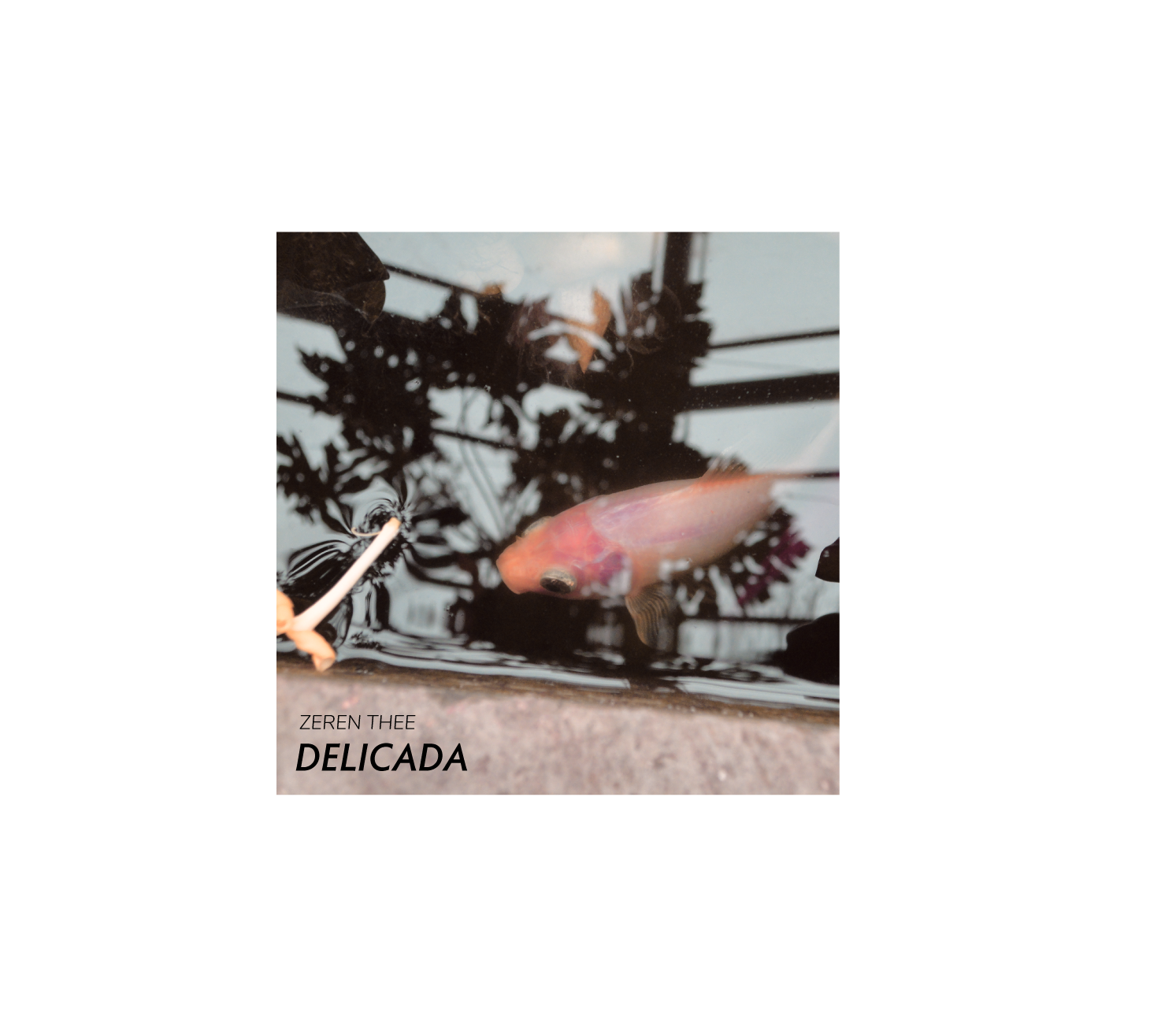 CD Cover Design by GLB for this project | Design #33592011