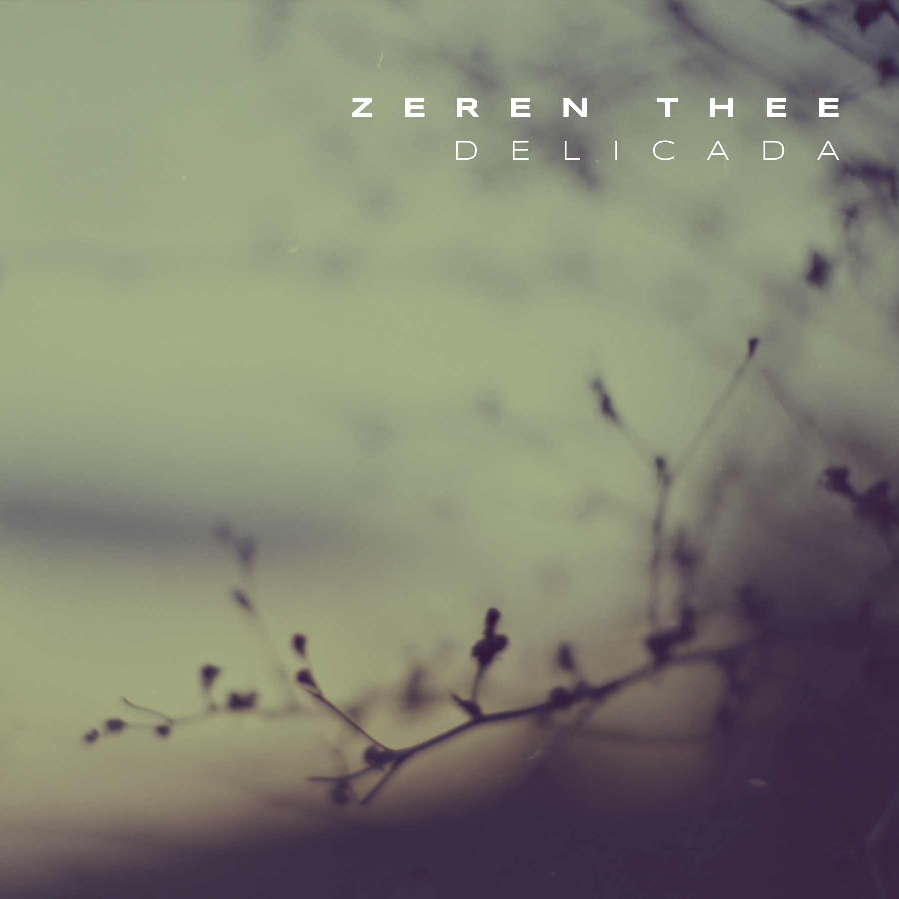 CD Cover Design by Oleksandr Tovarkov for this project | Design #33577088