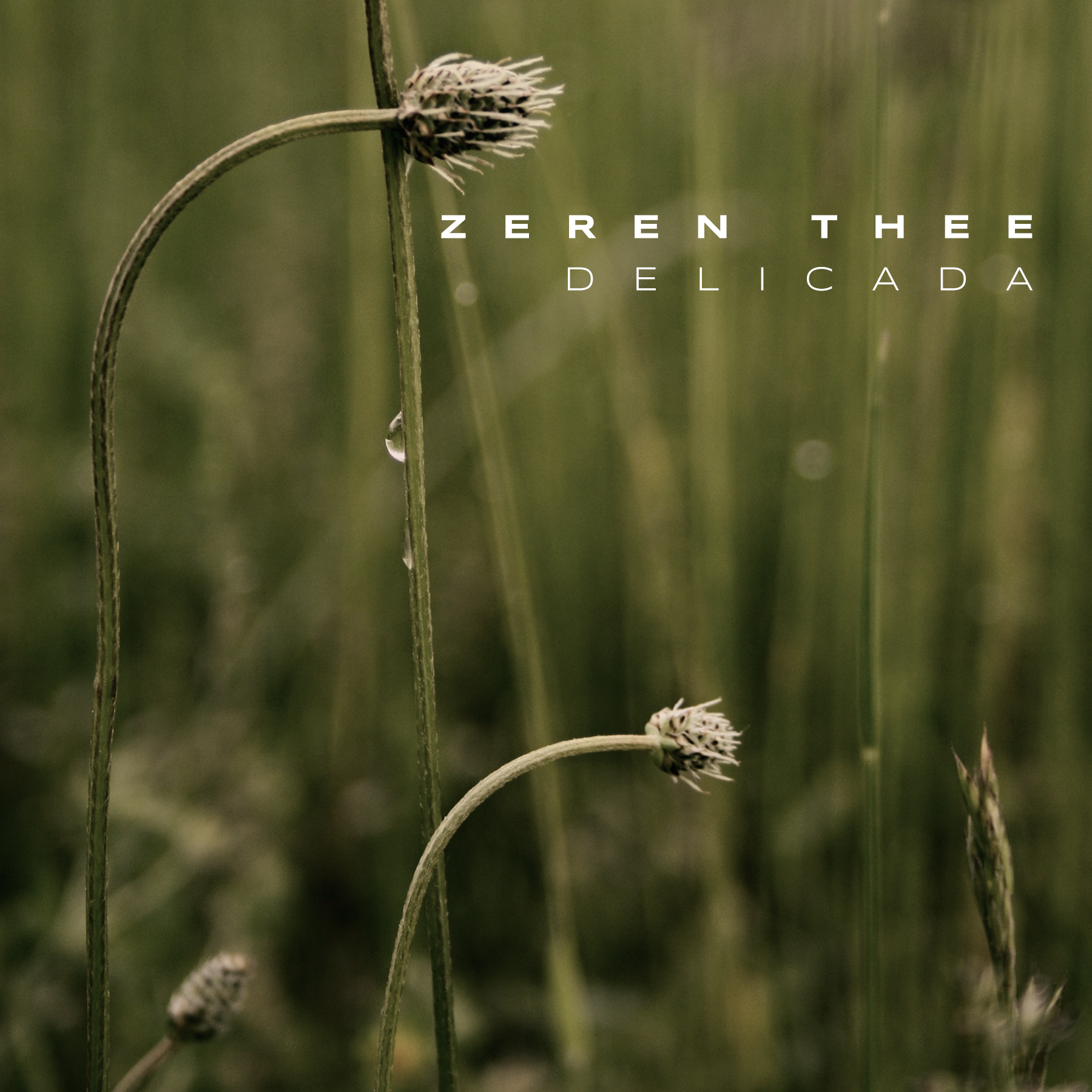 CD Cover Design by Oleksandr Tovarkov for this project | Design #33577114