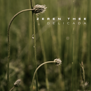 CD Cover Design by Oleksandr Tovarkov for this project | Design: #33577114