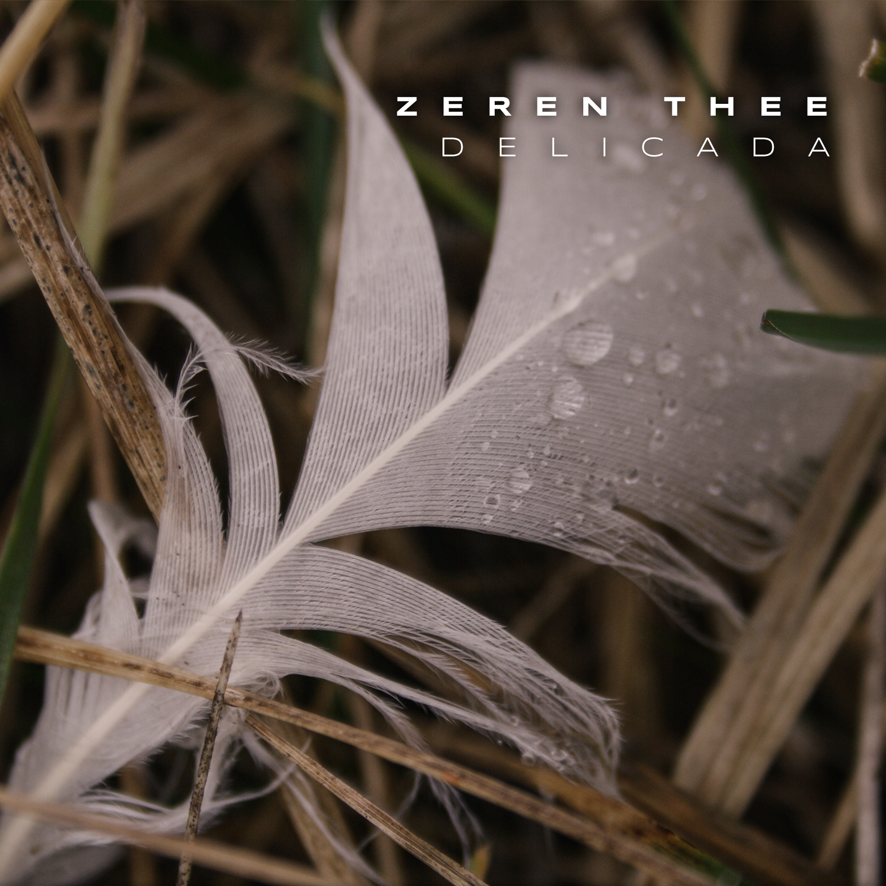CD Cover Design by Oleksandr Tovarkov for this project | Design #33577144