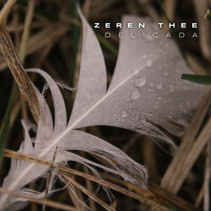 CD Cover Design by Oleksandr Tovarkov for this project | Design: #33577144