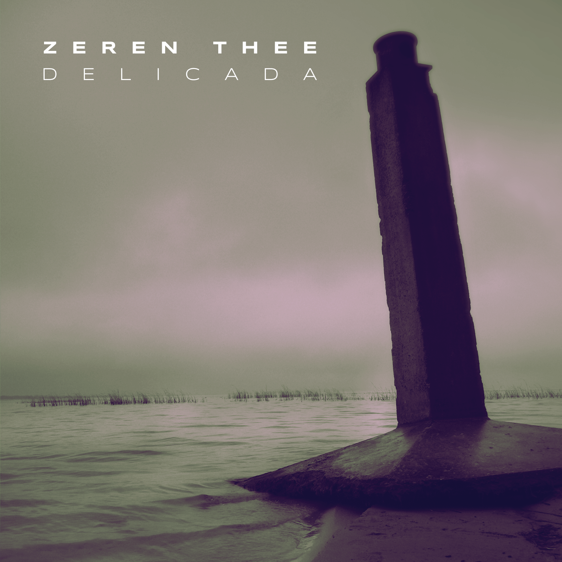 CD Cover Design by Oleksandr Tovarkov for this project | Design #33593979