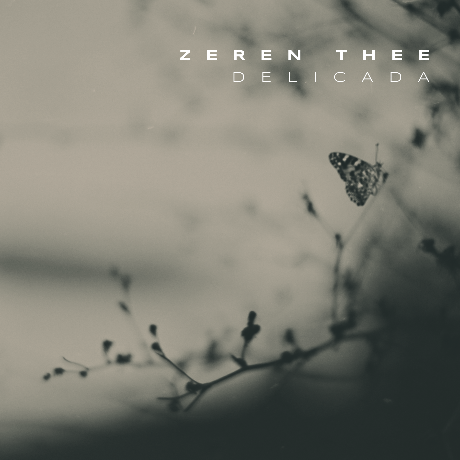 CD Cover Design by Oleksandr Tovarkov for this project | Design #33626358