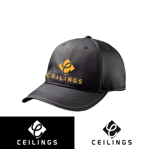 Logo Design by DesginSetup for this project | Design: #33809804