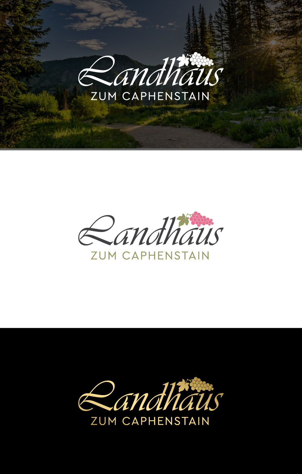 Logo Design by Cactus Designs for this project | Design #33575269