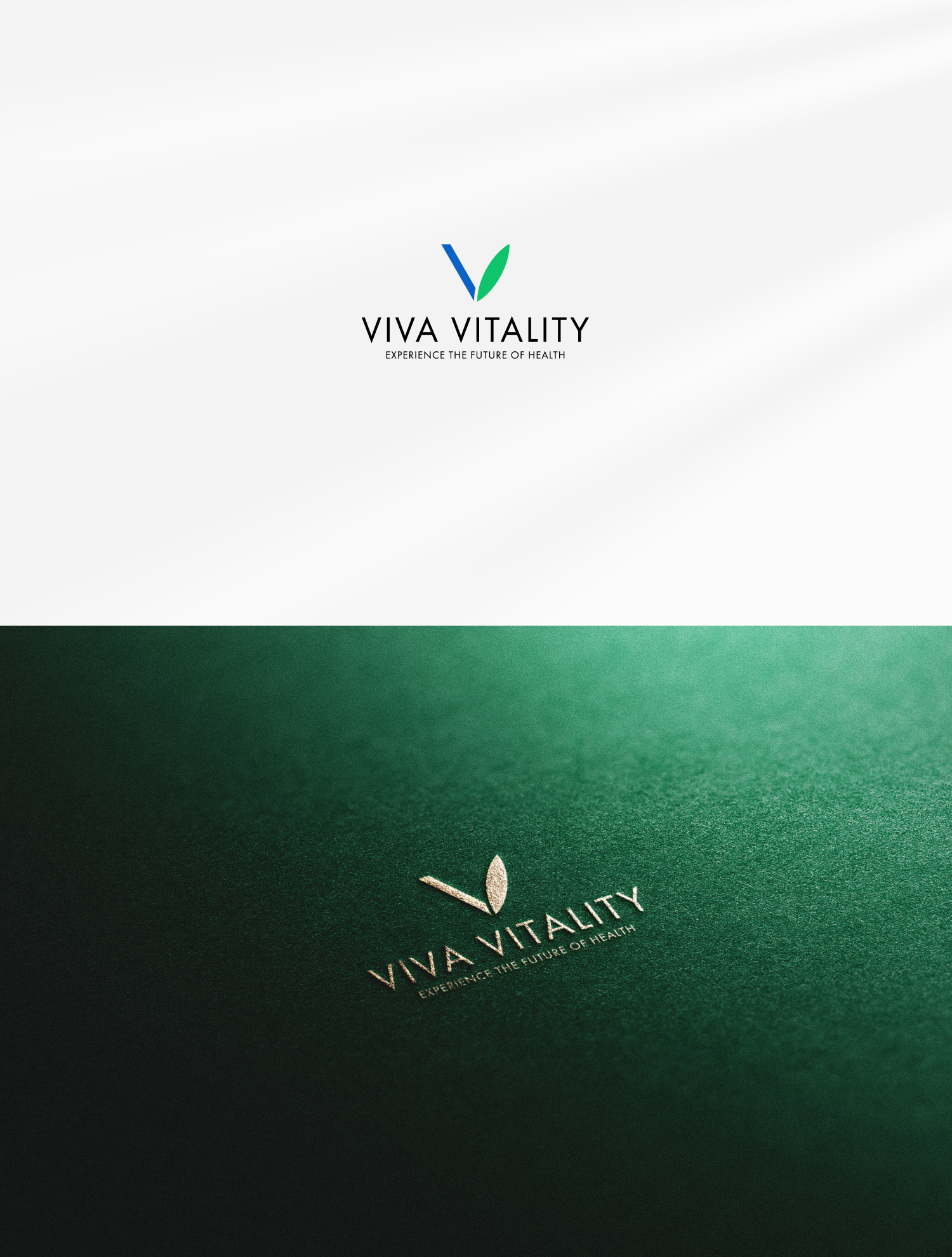 Logo Design by csz.design for BLUFIN DESIGN-BUILD | Design #33550522