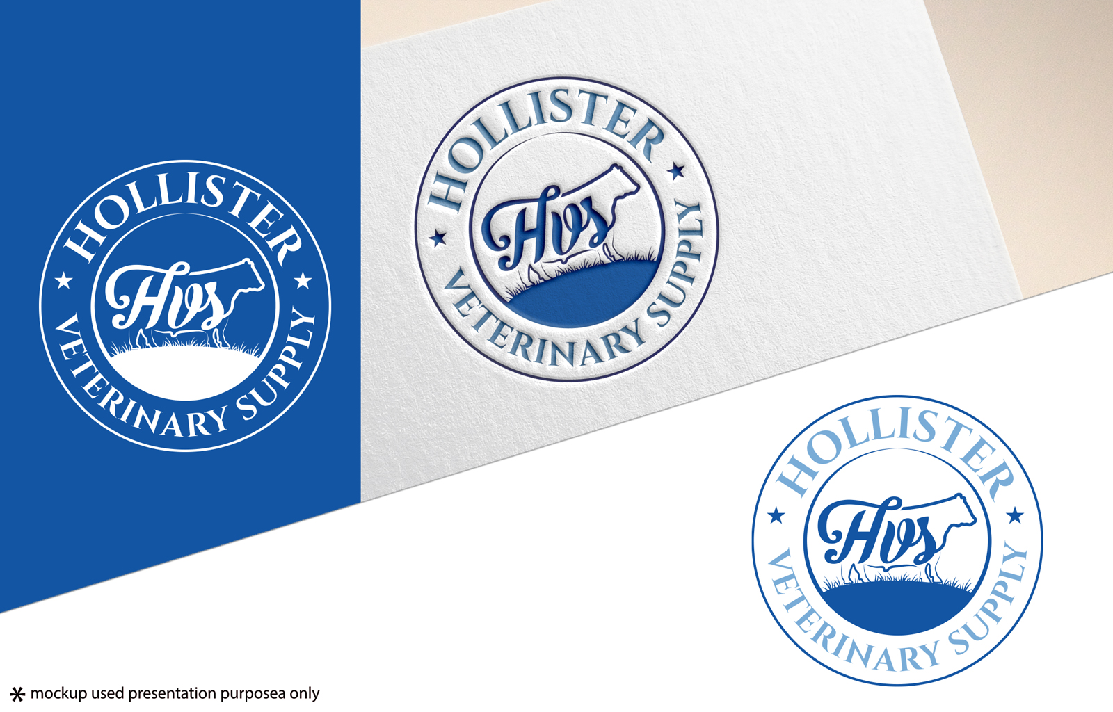 Logo-Design von Rubia@ für dieses Projekt | Design #33557456